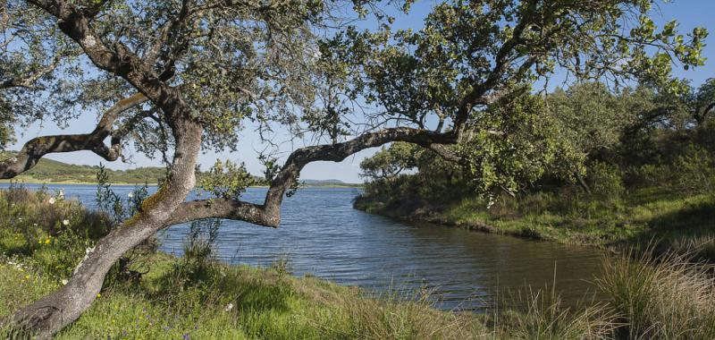 Naturaleza: Sierra de Aracena y Picos de Aroche